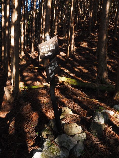 石立山登山道