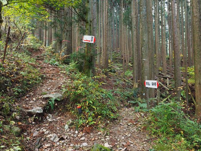 青滝山分岐