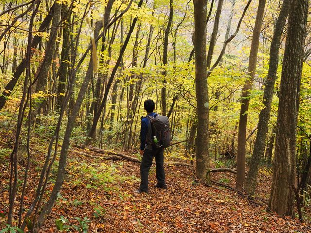 堂ヶ森登山道