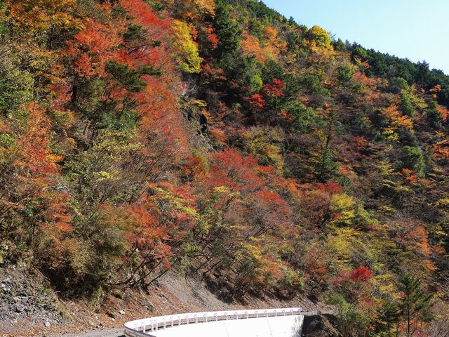 大星山林道