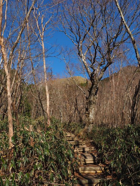 白髪山登山道