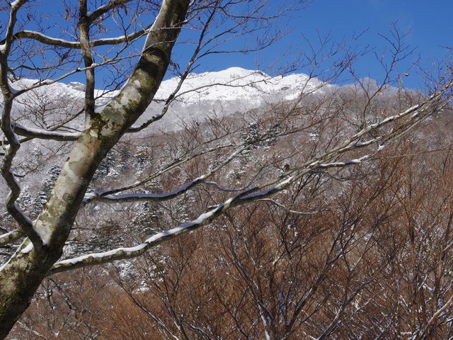 矢筈山