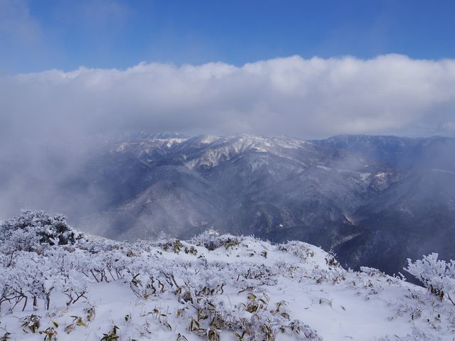 土佐矢筈山