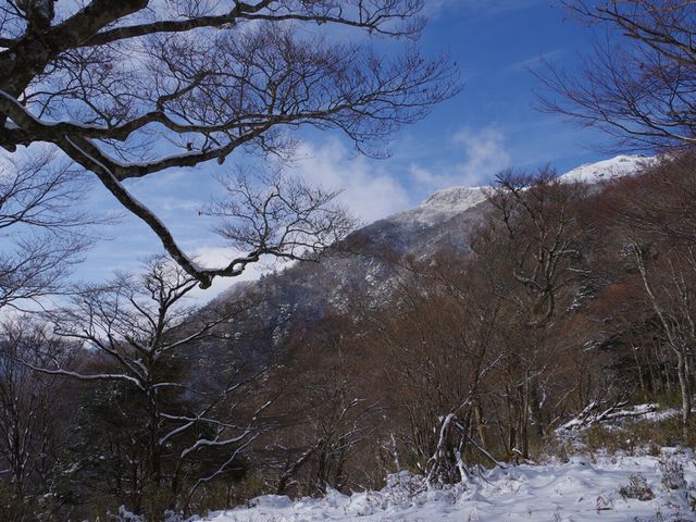 土佐矢筈山