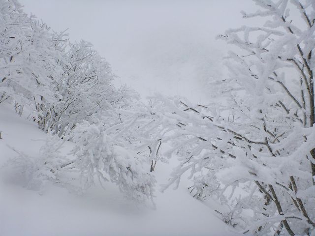 水場