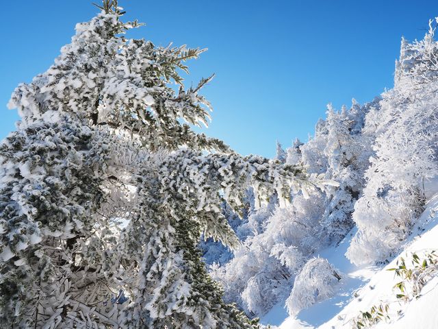 伊予富士登山道