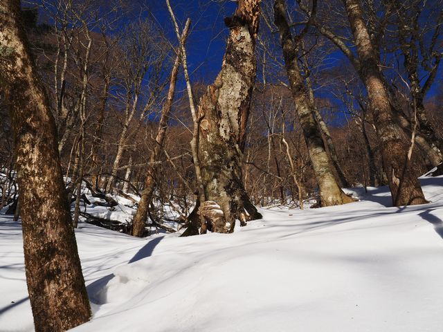 さおりが原付近