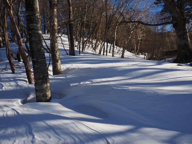 カヤハゲ西尾根
