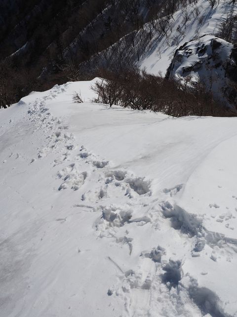 三嶺