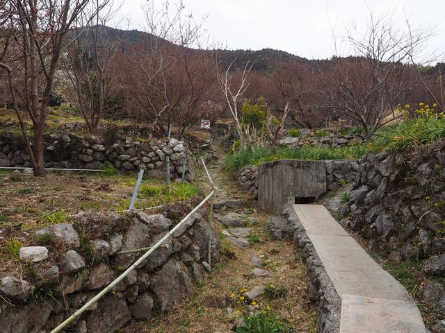 蟠蛇森登山道