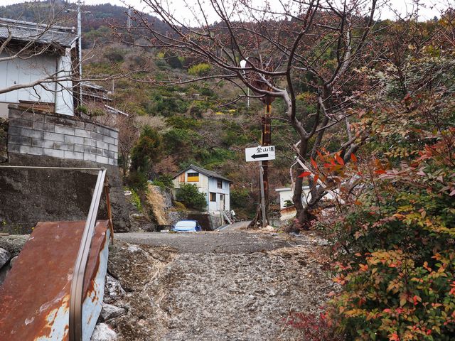 蟠蛇森登山道