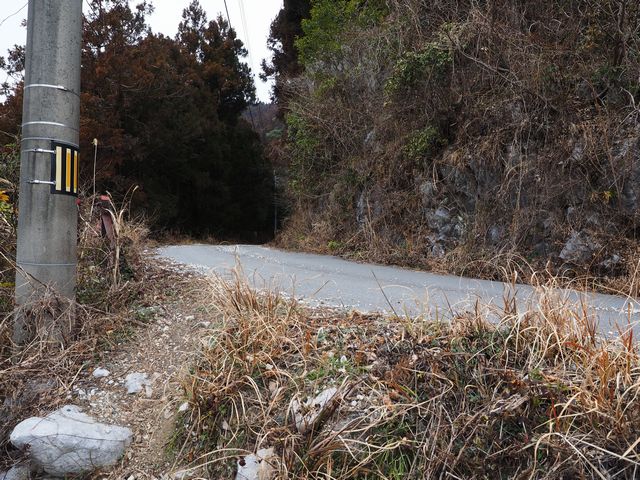 蟠蛇森登山道