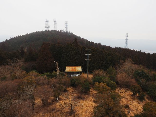 蟠蛇森