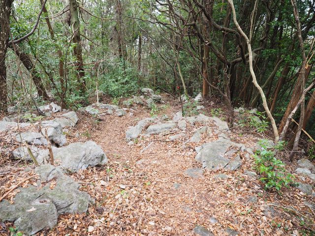 蟠蛇森登山道