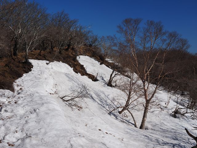 白髪山分岐
