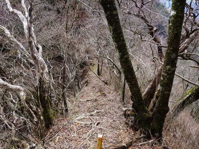 縦走路