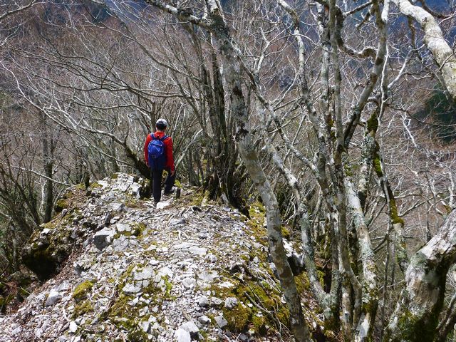 石立山別府コース