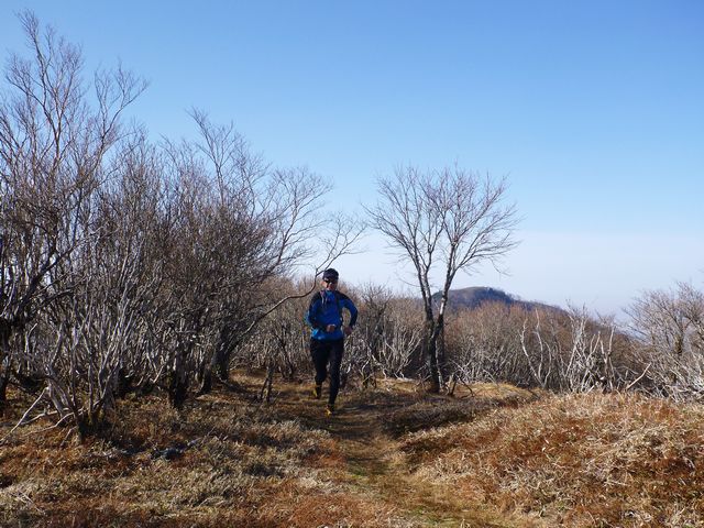 白髪山分岐
