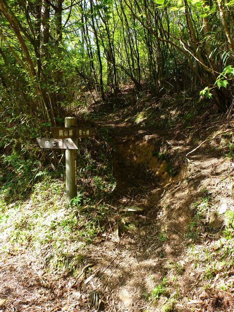 土山越