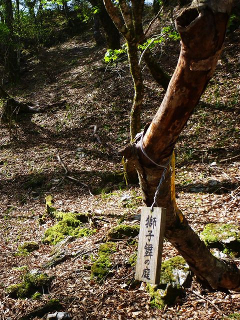 獅子舞の庭