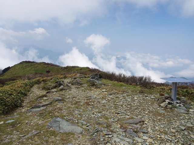 笹ヶ峰