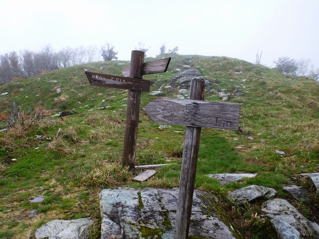 白髪山分岐