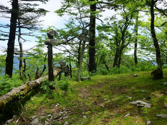 西峰