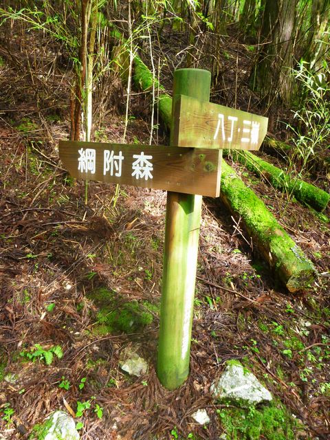 綱附新道分岐
