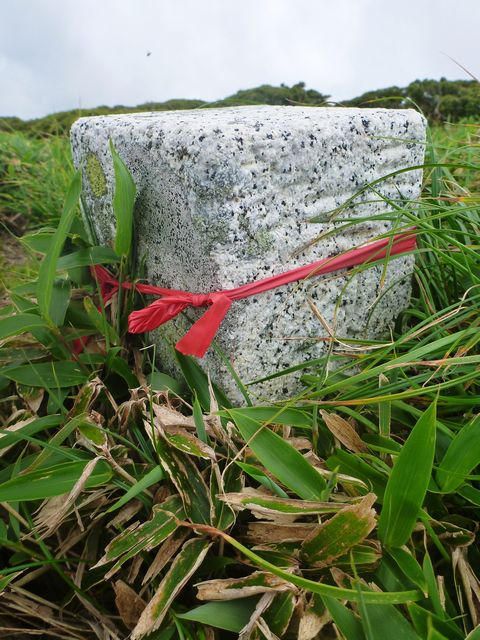 牛ノ背三角点