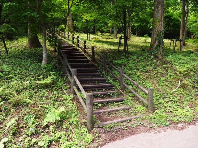 上林森林公園
