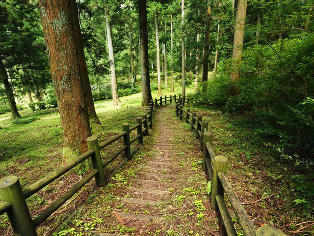 上林森林公園