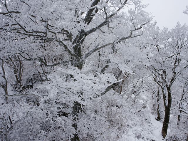 寒風山