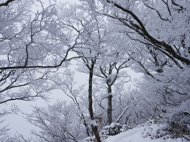 寒風山