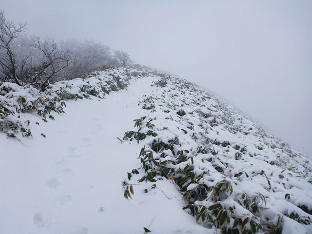 笹ヶ峰
