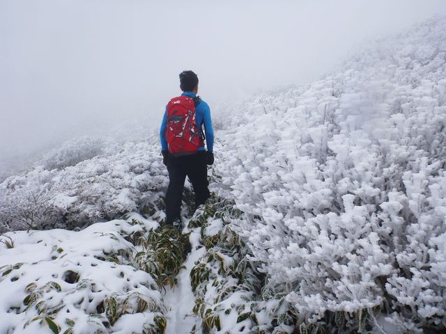 笹ヶ峰
