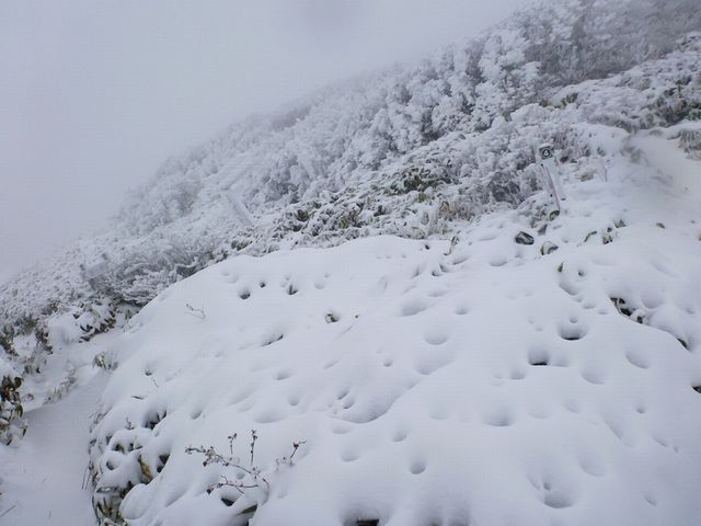 笹ヶ峰