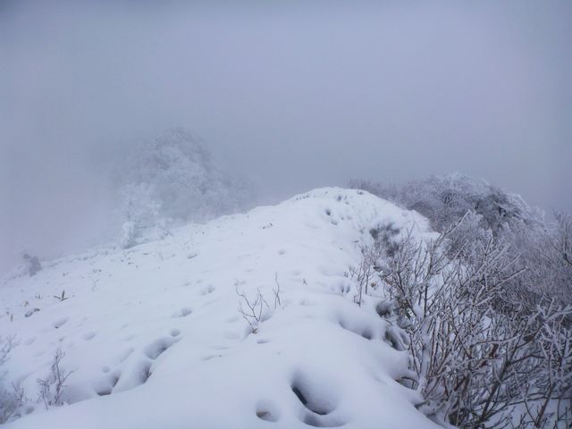 笹ヶ峰