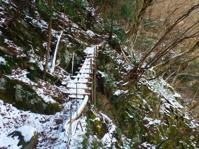 東赤石山登山道