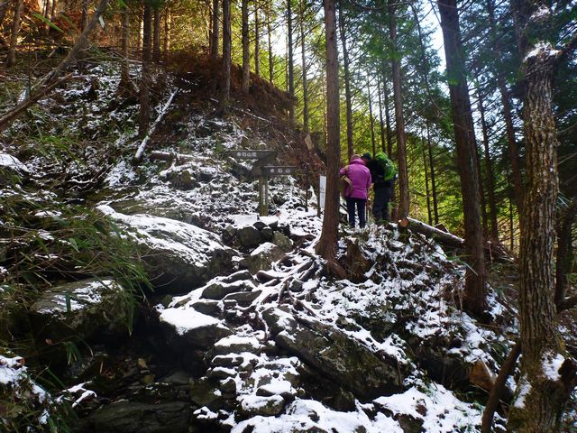 東赤石山登山道