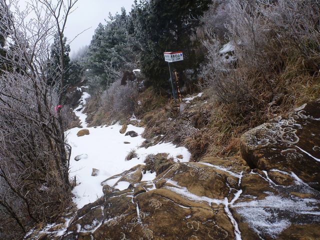 分岐