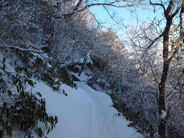 石鎚山表参道
