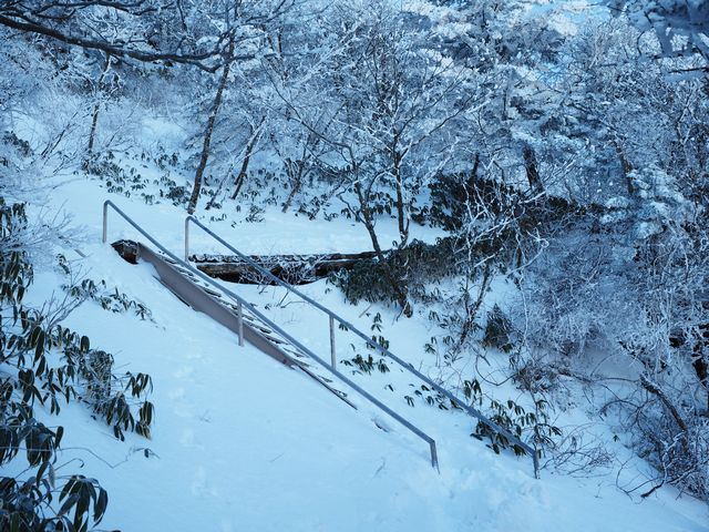 石鎚山表参道