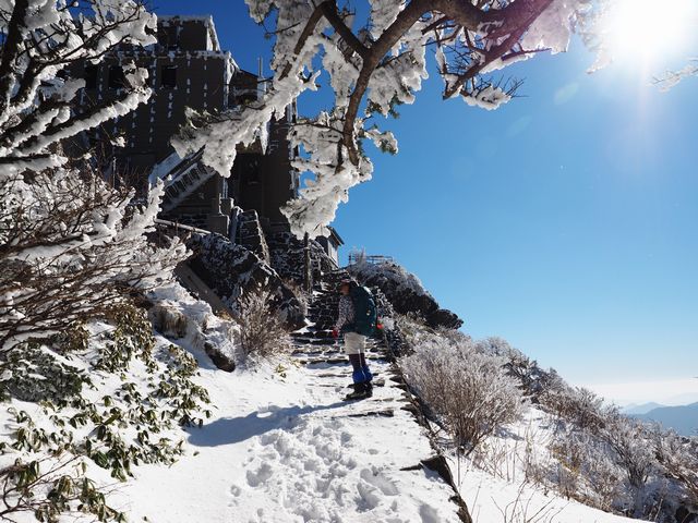 石鎚山弥山