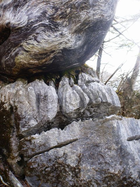ガメラ岩