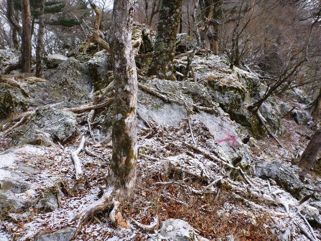 石立山登山道