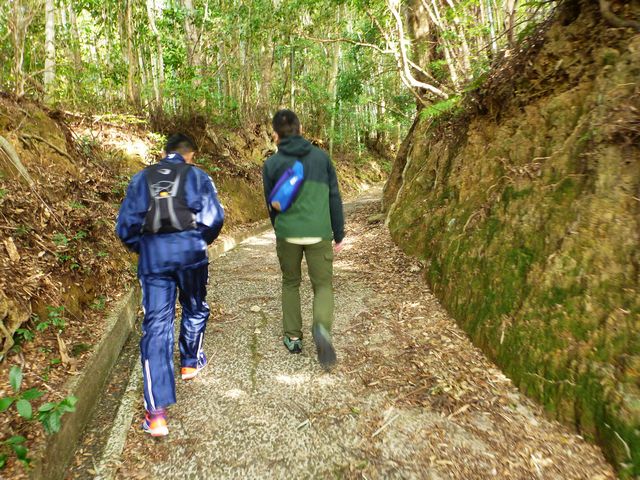 石見寺参道