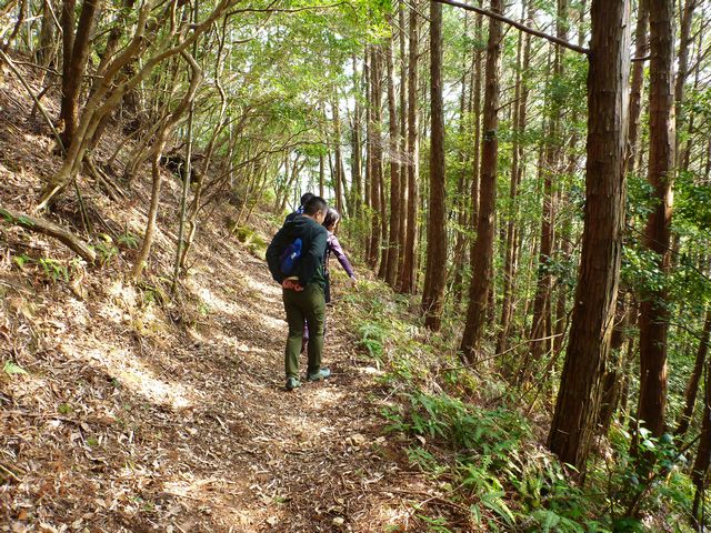 石見寺山