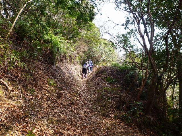 石見寺山ハイキングコース