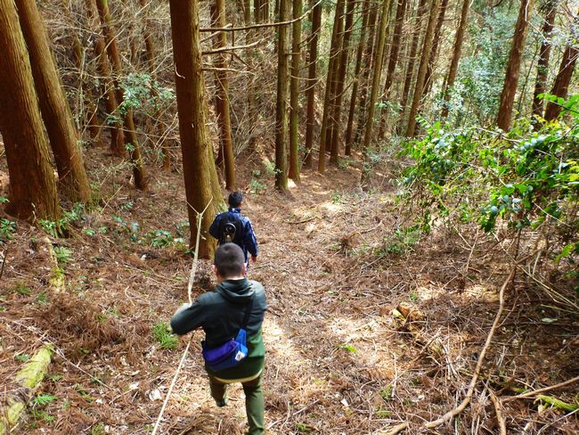 石見寺山ハイキングコース
