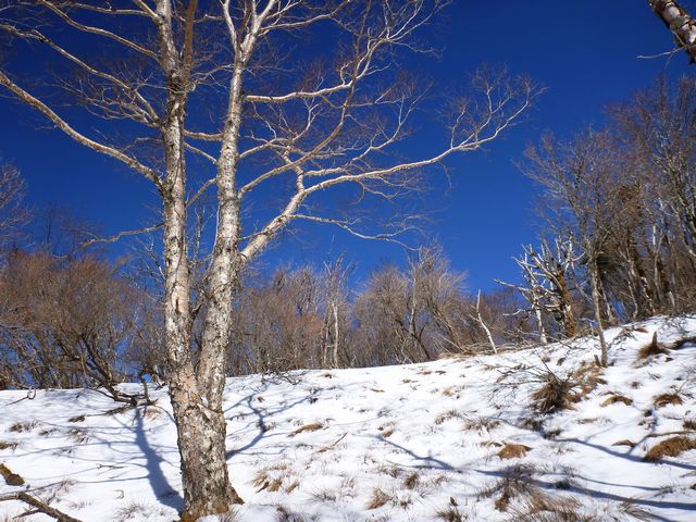 白髪山コース
